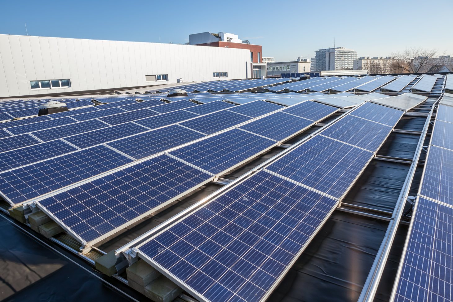 Understanding Key Solar Panel Components, Types, and Industry Standards
