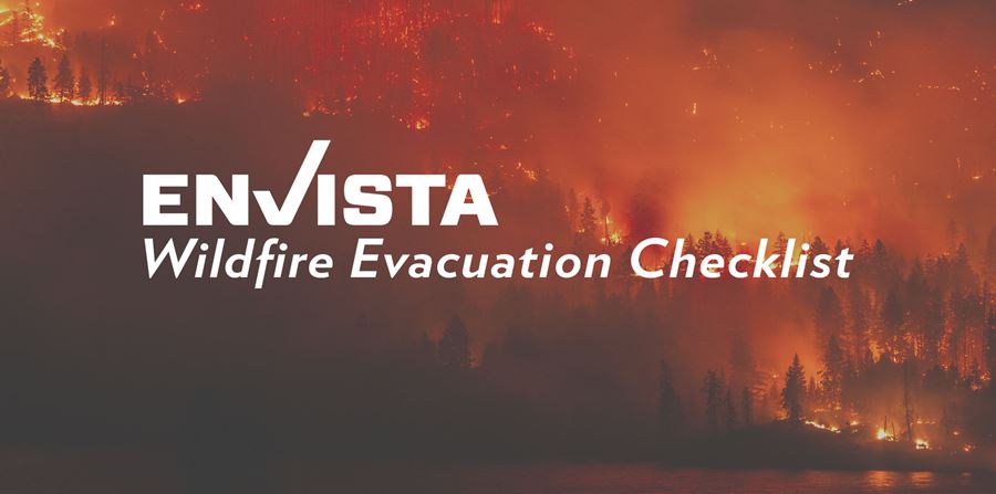 Cat Wildfire2
