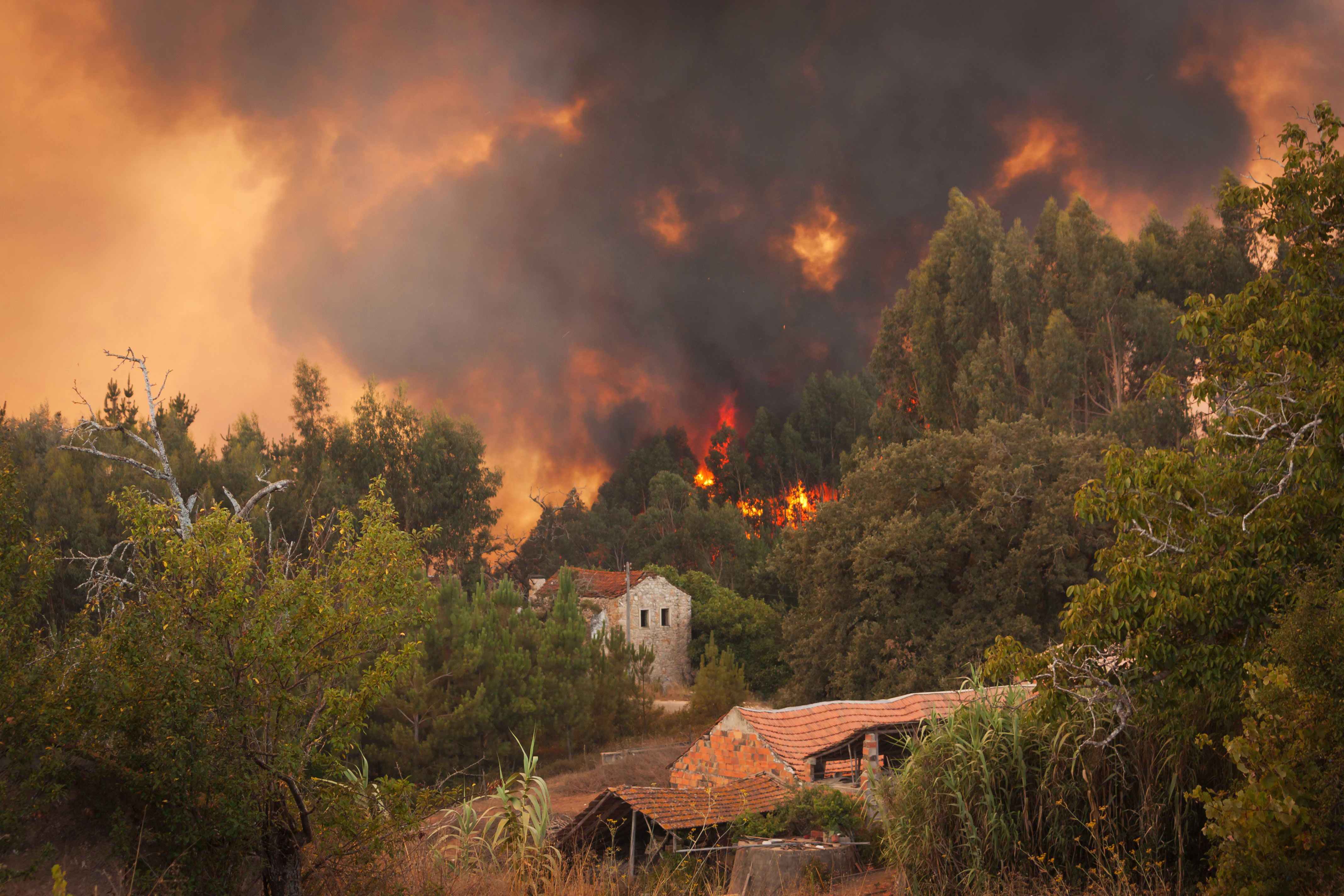 Preparing for Wildfire Season Checklist