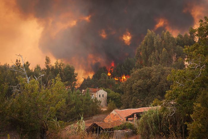 Preparing for Wildfire Season Checklist