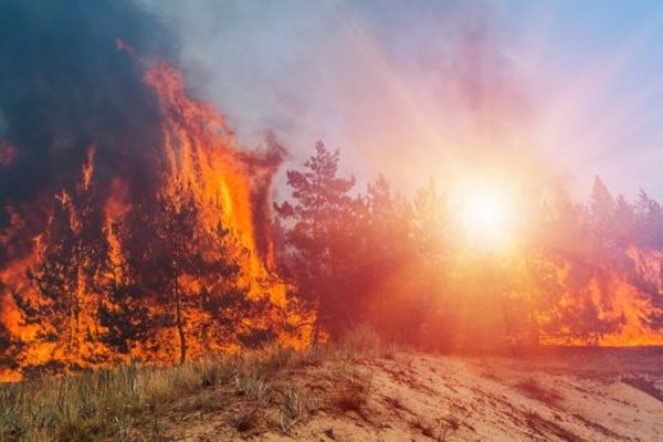 Top 10 Checklist for Analyzing Complex Wildland Fires