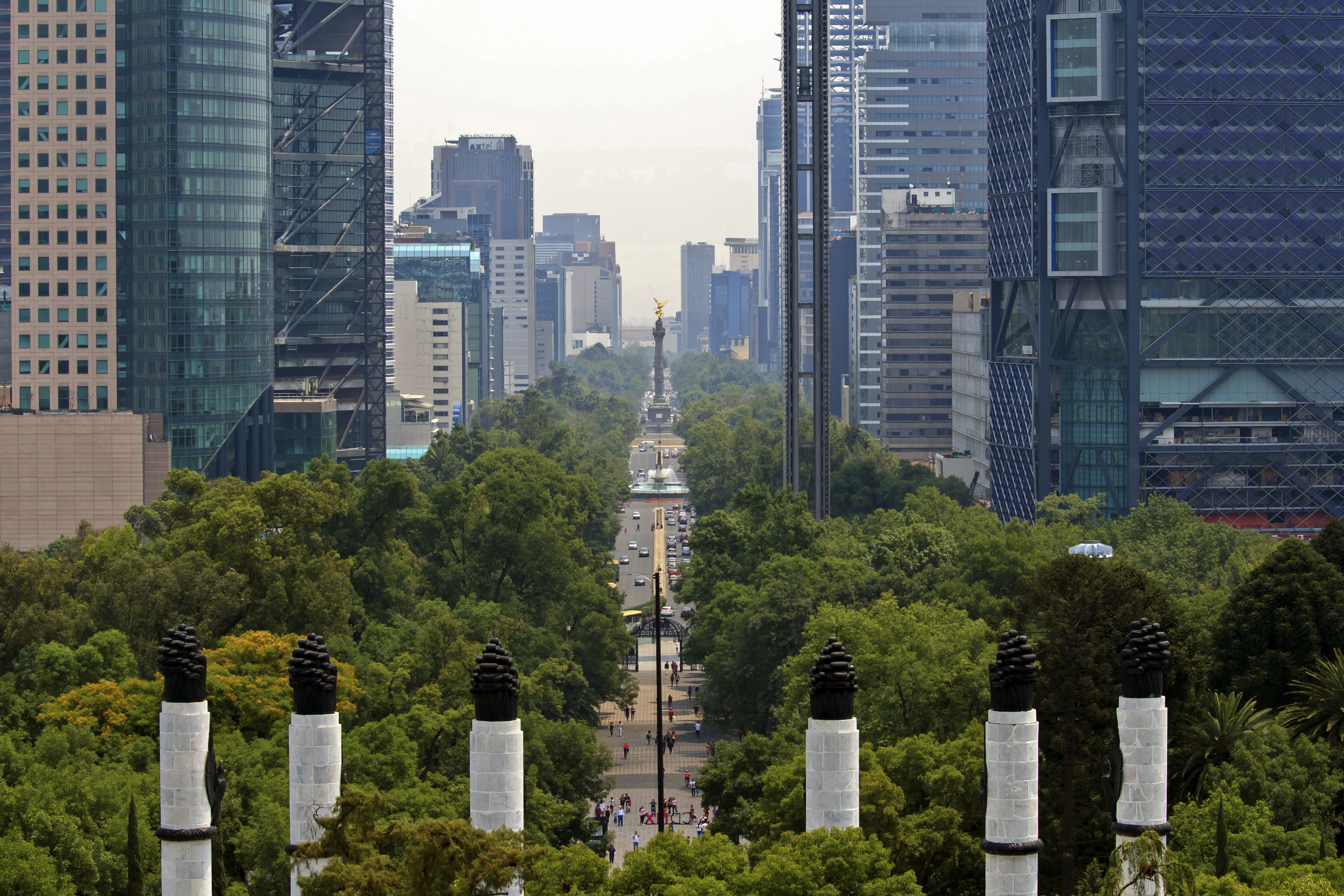 LWG Consulting Announces Launch of Mexico City Office