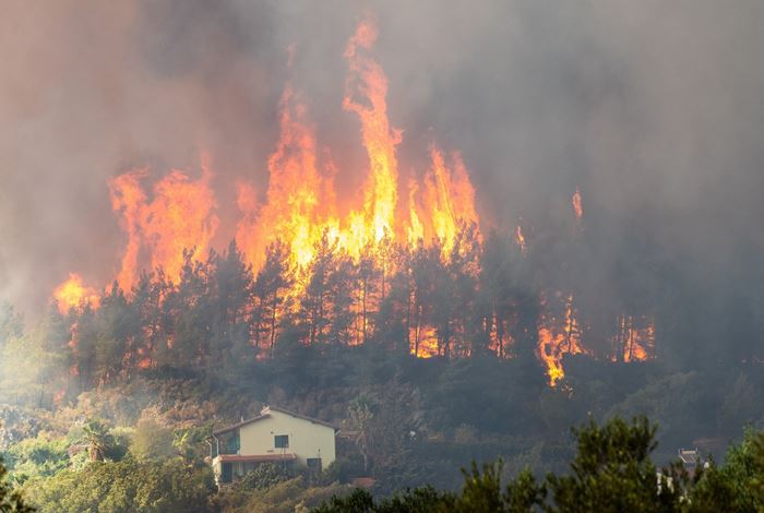 Preparing for Wildfire Season