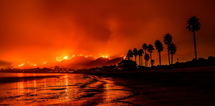 Wildfires