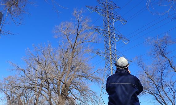 examination of hv transmission line james wheeler