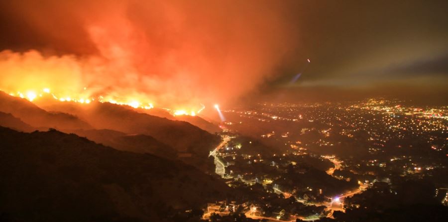 Wildfire Picture
